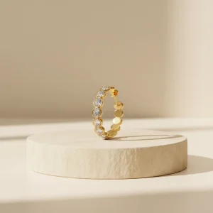 Brinco Argola Cravejada de Luxo